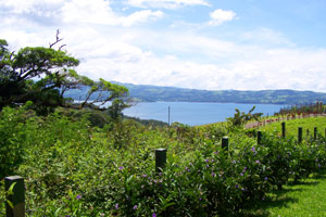 Another view of Lake Arenal. 